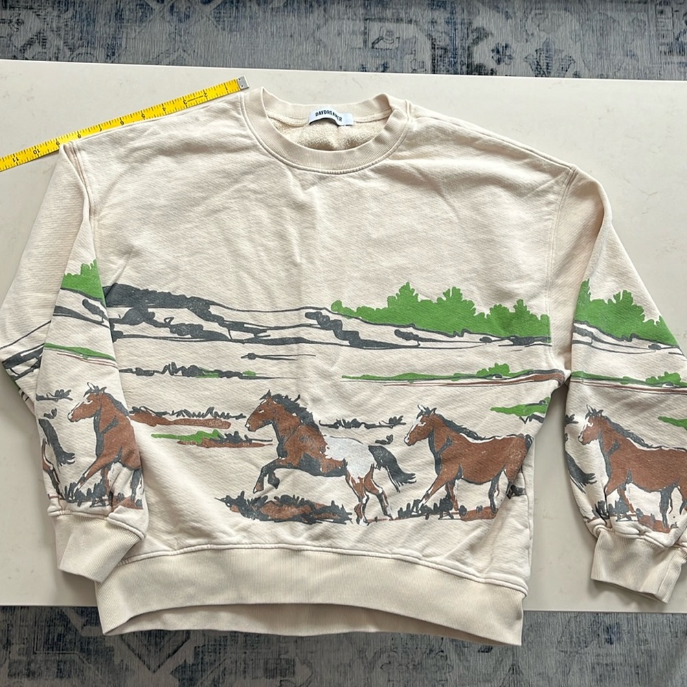 Daydreamer from Free People horse theme oversized sweatshirt